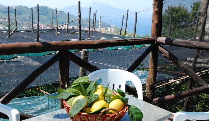 Locazione Turistica Limoneto a Priora