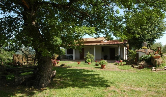 Agriturismo San Vincenzo