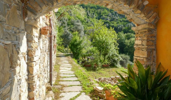 Locazione Turistica Olive House