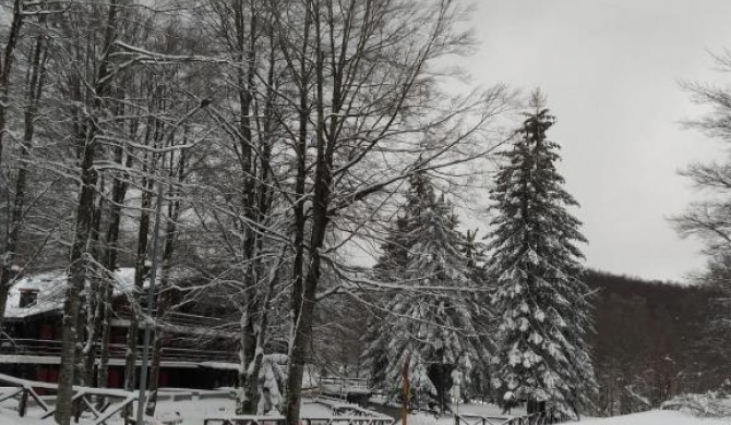 Casa nel bosco