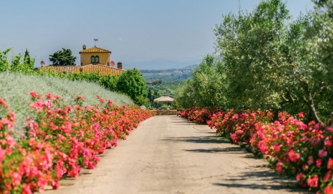 Sole del Chianti