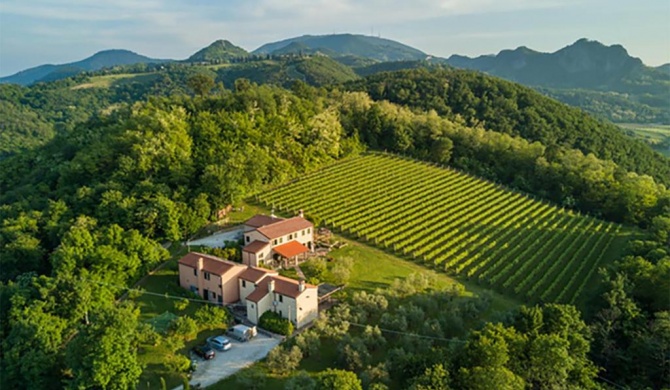 Agriturismo Terre Bianche