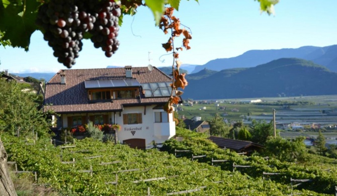 Finkenhof: Ferienwohungen - Urlaub auf dem Bauernhof