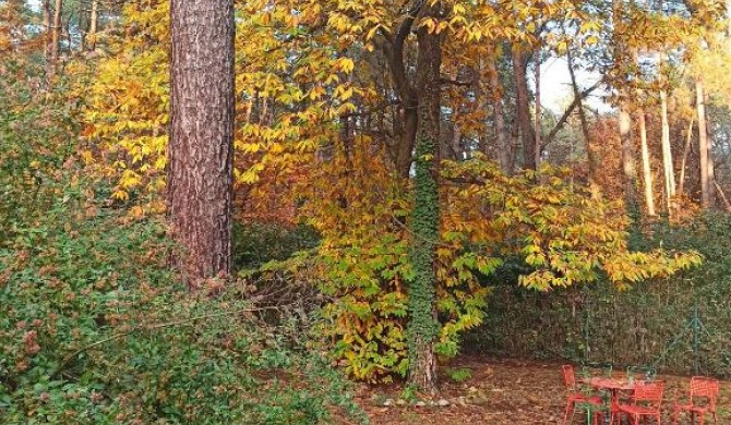 l'oasi nel bosco