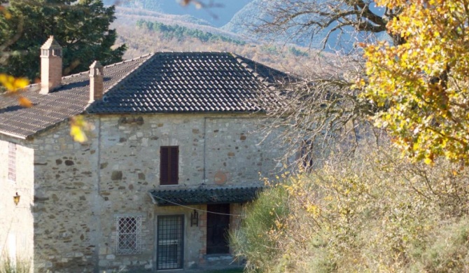 Agriturismo La Malcontenta e il Lupo