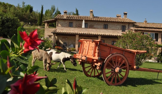 Farm stay Il Carro del Colle