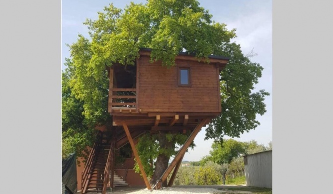 Casa sull'Albero Treehouse Costa dei Trabocchi