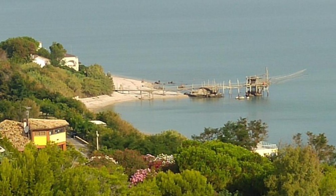 Il Giardino fra gli Ulivi